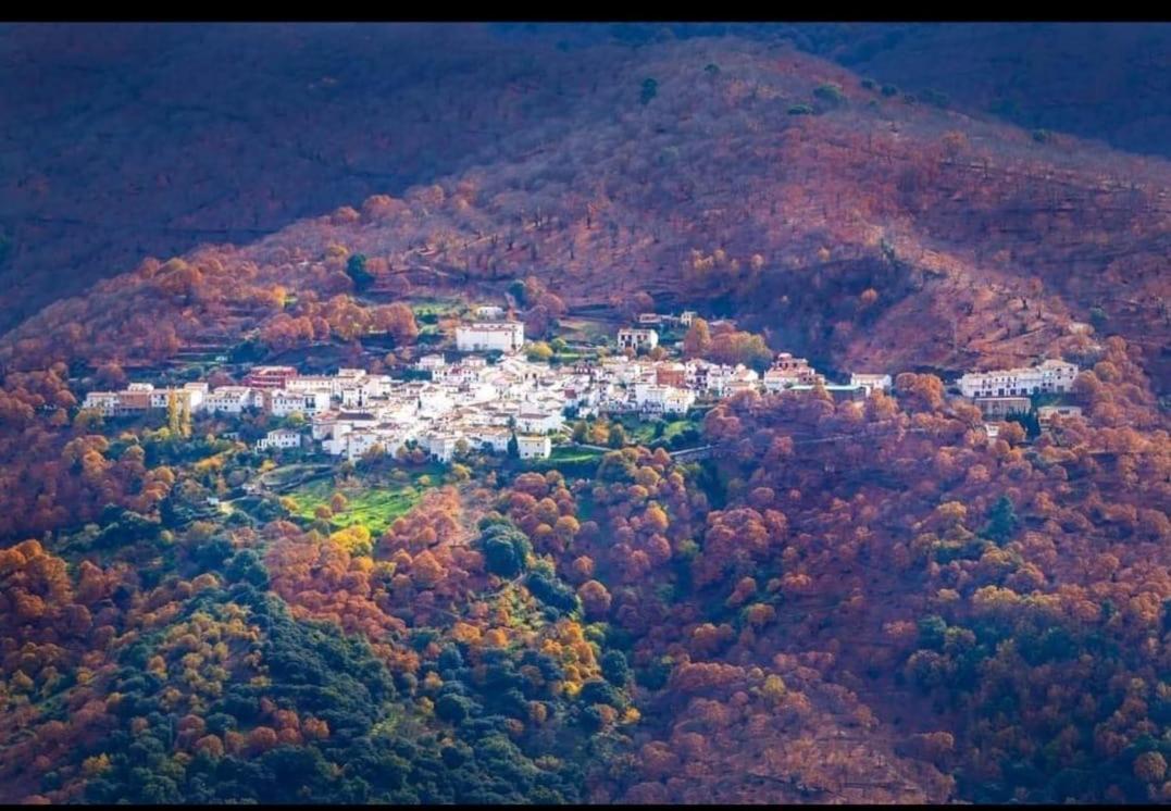 Casa Rural "La Casita" Pujerra Kültér fotó